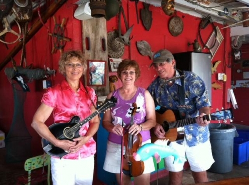 fiddlecrabs3